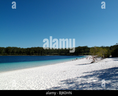 Lake McKenzie auf Fraser Island in Australien Stockfoto