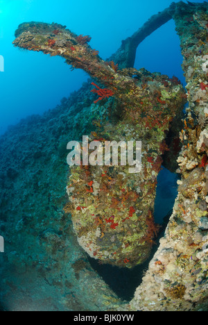 Wrack der Dunraven im Roten Meer, Küste von Ägypten Stockfoto