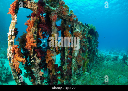 Wrack am Yolanda Reef im Roten Meer, Küste von Ägypten. Stockfoto