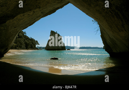 CATHEDRAL COVE MEERESHÖHLE IM BEREICH COROMANDEL NEUE NEUSEELAND NORDINSEL Stockfoto