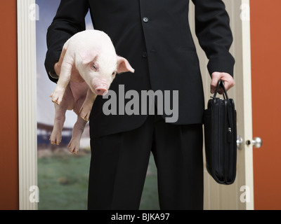 Geschäftsmann Holding Aktenkoffer und Ferkel Stockfoto