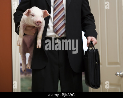 Geschäftsmann Holding Aktenkoffer und Ferkel Stockfoto