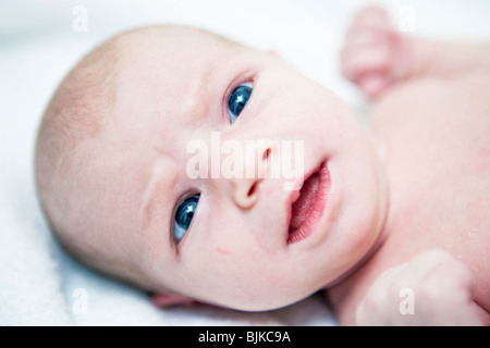 Porträt, baby Stockfoto