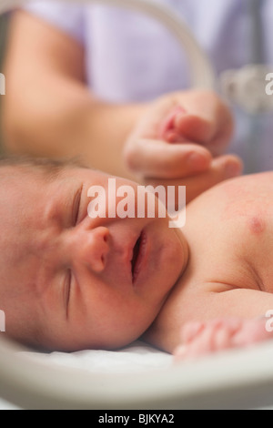 Frau halten Babys hand Stockfoto