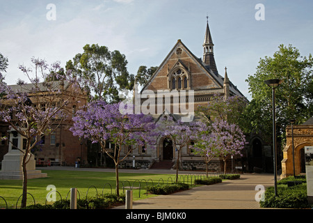 Historische Gebäude der Universität von Adelaide, South Australia, Australia Stockfoto