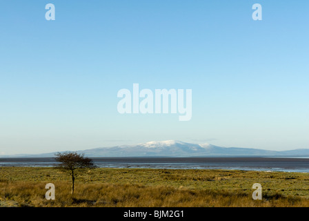 Campfield Marsh RSPB reserve, The Solway Firth, Cumbria, England. Stockfoto