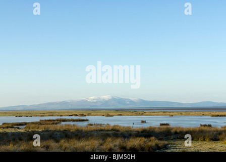 Campfield Marsh RSPB reserve, The Solway Firth, Cumbria, England. Stockfoto