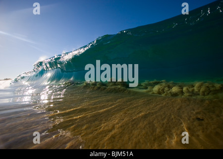 Eine glasige Shorebreak Welle zieht den Sand aus dem Boden, wie es in Zoll Wasser bricht. Stockfoto