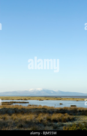 Campfield Marsh RSPB reserve, The Solway Firth, Cumbria, England. Stockfoto