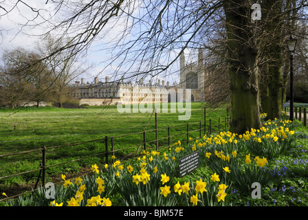 Kings College Chapel im Frühjahr, Cambridge, England UK Stockfoto