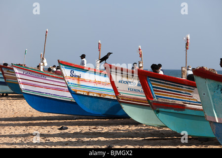 Bunte Fischerboote am Strand, Somatheeram Beach, Malabarian Küste, staatliche Malabar, Kerala, Indien, Asien Stockfoto