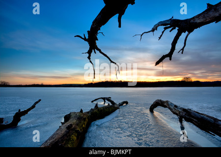 Altes Holz auf eisigen Mindelsee See, Baden-Württemberg, Deutschland, Europa Stockfoto