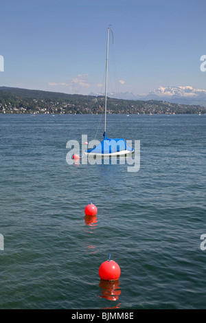 Blick auf den Zürichsee, Schweiz Stockfoto