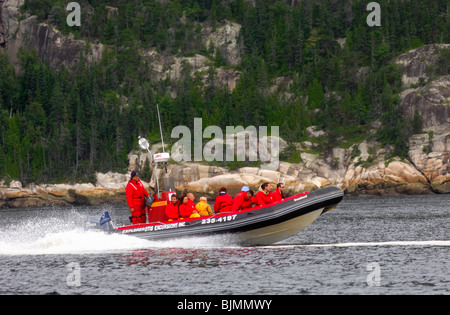 Touristen in einem Zodiac Schlauchboot der Firma Otis Ausflüge Inc., Ausflug auf den St. Lawrence River, Tadoussac, Kanada Stockfoto