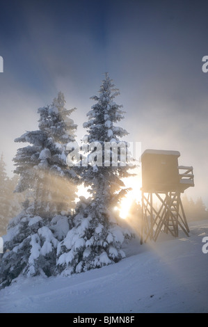 Sonnenstrahlen durch den Nebel in der Nähe von einem Ansitz, Mt. Unterberg, Lower Austria, Austria, Europa Stockfoto