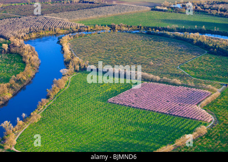 Bauernhöfe und Pfirsich Obstgärten in voller Blüte im Sacramento Valley aus der Luft. Stockfoto