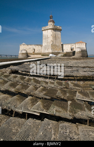 Auster-Farmingnear Fort Louvois, bei Ebbe, Pointe du Chapus, Charente-Maritime, Frankreich. Stockfoto