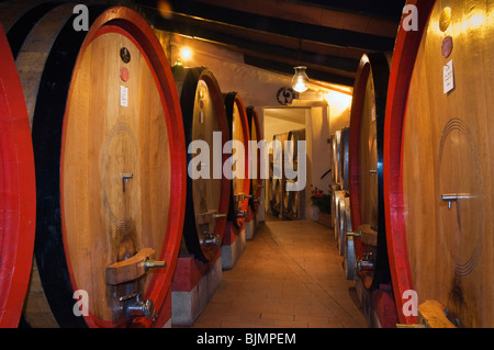 Weinfässer, Weinkeller im Weingut Brunello Fattoria dei Barbi, Podernovi, Montalcino, Toskana, Italien, Europa Stockfoto