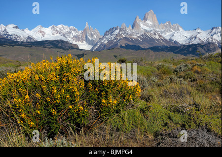 Mt. Cerro Torre und Mt. Fitz Roy, El Chalten, Anden, Patagonien, Argentinien, Südamerika