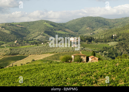 Italien, Toskana, Chianti, in der Nähe von Panzano, typische Landschaft mit Weinbergen Stockfoto