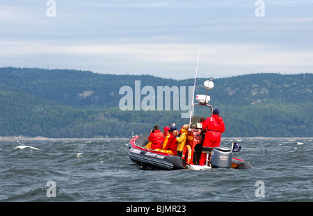 Touristen in einem Zodiac Schlauchboot der Firma Otis Ausflüge Inc., Whalewatching auf dem St. Lawrence River, Tadoussac, Stockfoto