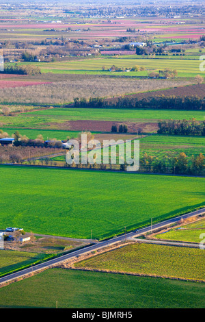 Bauernhöfe und Pfirsich Obstgärten in voller Blüte im Sacramento Valley aus der Luft. Stockfoto