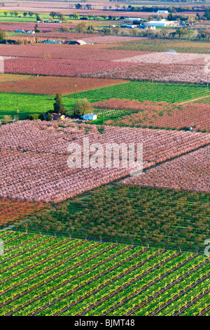 Bauernhöfe und Pfirsich Obstgärten in voller Blüte im Sacramento Valley aus der Luft. Stockfoto