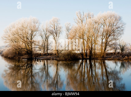 Hohe Bäumen überragt ein Flussufer mit Frost und Schnee bestäubt spiegeln sich in den Gewässern des Flusses Avon in der Nähe von Tewkesbury. Stockfoto