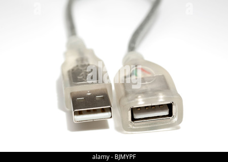 USB-männliche und weibliche Anschlüsse Stockfoto