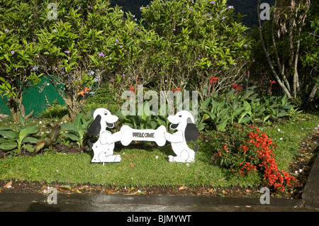 Mi Jardin es Tu Jardin Boquete Chiriqui Provinz Panama Stockfoto