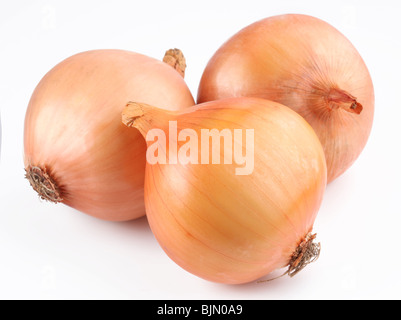 Frische Zwiebeln Zwiebel auf weißem Hintergrund Stockfoto