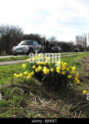 Blumen am Tatort einen tödlichen Verkehrsunfall in Großbritannien. Stockfoto