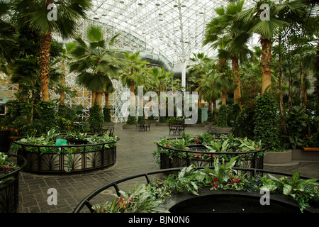 Crystal Garden. Navy Pier, Chicago, Illinois Stockfoto