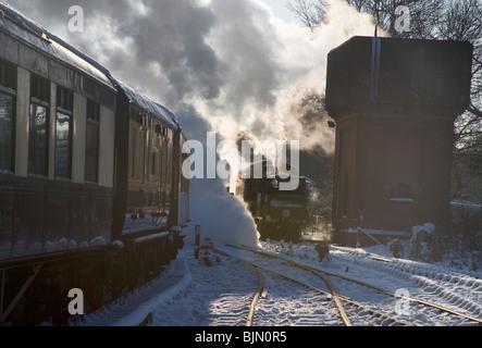 Winter auf der Bluebell Railway in East Sussex Stockfoto