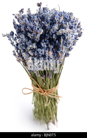 Bundle von getrocknetem Lavendel auf weißem Hintergrund Stockfoto