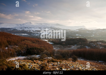 Cadair Idris 893m oder 2930ft hoch. Vom Abgrund zu Fuß in der Nähe von Wales Wales UK Stockfoto