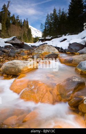 Kautz Creek ist ein Nebenfluss des Nisqually River fließt vom Kautz Gletscher im Mt. Ranier National Park.  Es ist bekannt als unberechenbar und Überschwemmungen durch die Gletscherschmelze. Stockfoto