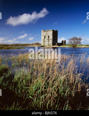 Die mittelalterlichen Ruinen der Threave Castle auf einer Insel im Fluss Dee in der Nähe von Castle Douglas Scotland UK Stockfoto