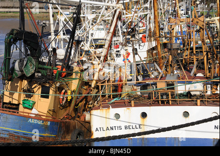 Geballte Durcheinander von fanggeräte an Jakobsmuschel Fischereiflotte, Kirkcudbright Hafen, SW-Schottland Stockfoto