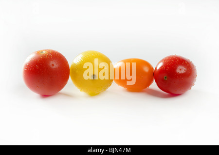 Kleine Kirsche variiert Multi Farbe Tomaten, im Studio, weißer Hintergrund Stockfoto