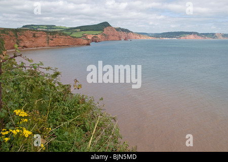 Beeindruckende Küste an der Chiselbury Bay, Ladram Bay und Sidmouth in der Ferne Stockfoto