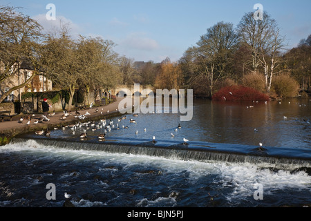 Fluss Wye in Bakewell, Peak District National Park, Derbyshire. Stockfoto