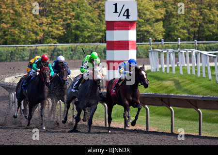 Gruppe von bunten Pferd Racer vorbei Viertel Meile Pfosten an Arlington Park Racetrack, Arlington Heights, Illinois Stockfoto