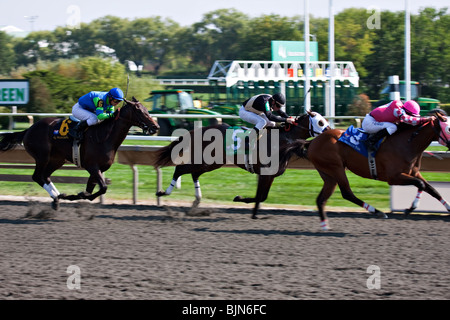 Drei bunte Pferd Racer vorbei am Arlington Park Racetrack, Arlington Heights, Illinois Stockfoto