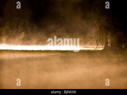 SPARKS LAKE, OREGON, USA - Morgennebel steigt von Sparks Lake in Oregon Cascades-Mittelgebirge. Stockfoto