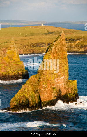 Die Stapel von Duncansby Duncansby Head, Caithness, Schottland, UK Stockfoto