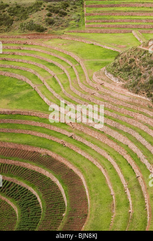 Inka Kultur Terrassen, Moray, Peru Stockfoto