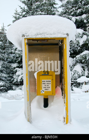 Schneebedeckte Notfall Telefonzelle auf der A9-Straße, nahe dem Slochd-Gipfel, Invernesshire, Highland Region, Schottland, UK Stockfoto