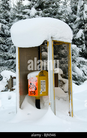 Schneebedeckte Notfall Telefonzelle auf der A9-Straße, nahe dem Slochd-Gipfel, Invernesshire, Highland Region, Schottland, UK Stockfoto