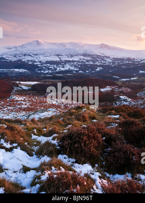 Cadair Idris 893m oder 2930ft hoch. Vom Abgrund zu Fuß in der Nähe von Wales Wales UK Stockfoto